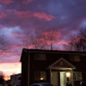 Meet your Posher, Diana